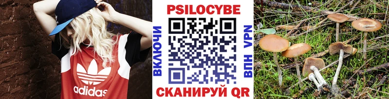 Галлюциногенные грибы MAGIC MUSHROOMS  Калачинск 